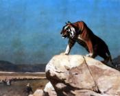 Tiger on the Watch - 让·莱昂·杰罗姆